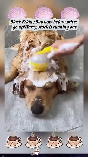 OMG, game changer for dog bath time! 🐶🛁 This brush has a built-in shampoo dispenser – so mess-free and easy! 🎄My pup actually enjoys baths now, lol. Perfect for keeping him fresh for all the holiday visits! 🥰 #DogMomLife #PetHacks #ChristmasWithPets | Theoryto