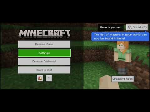 Add days counter in minecraft