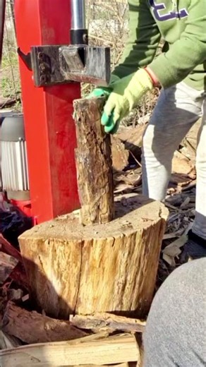 Vertical Log Splitter