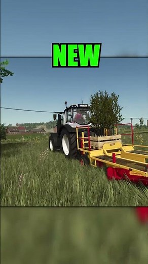 Old Vs New tree planting