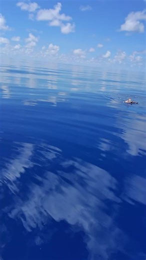 #SparkCamera #visit #baa #atoll #fishing #sports #grouper #tuna #daiwa #shimano #penn #maldives #clearwater #weather