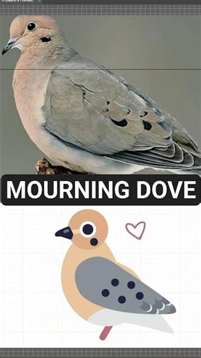 Adding a highly requested bird to our game