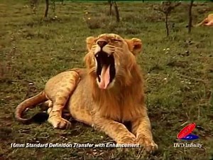 16mm Standard Definition Transfer with Enhancement