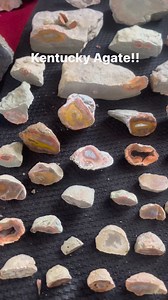 26 reactions | Kentucky agate rough cut specimens all available #agate #rocks #kentucky #geology | Taylor Pfanstiel | Facebook