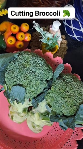 How to cut Broccoli 🥦 🤔 #winterspecial #howtocutbroccoli #howtomakebrocallivegetable | Be Productive with Me
