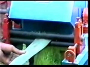 Sisal fibre extraction machine