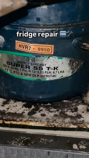 Fridge Not Cooling? ❄️ Compressor Repair Process!