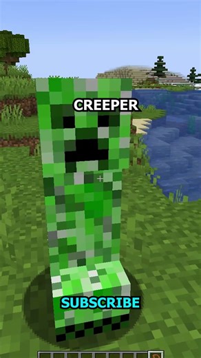 Minecraft Zoglin Can Be Your Pet? 🤯