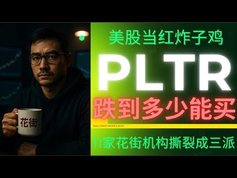 明星股Palantir遭做空机构狙击，大幅回调！PLTR估值过山车：抄底时机到了吗？