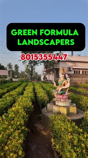 🌿 Want to decorate your garden? Try these plants! 🌸