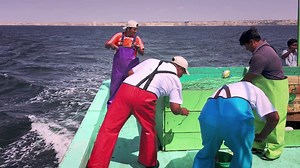 33K views · 71 reactions | We're serious about sustainable seafood! Check out one of our global fishery improvement projects where our mahi mahi comes from. | Dillons | Facebook