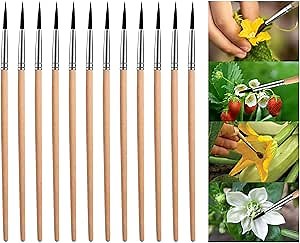 Pollinating Brush for Improving Pollination Efficiency Indoor Hydroponic Plants, Pollination Brushes for Increasing Fruit Yield by 200%, Pollinator Brush Tool for Greenhouse Gardens, Wood (12 Pack)