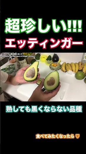 The super rare avocado "Ettinger" introduced by Carmen-kun #shorts