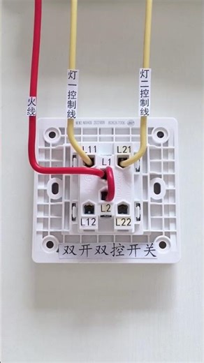 Double-pole double-throw switch controlling two single-control lights #BasicElectricityLearning