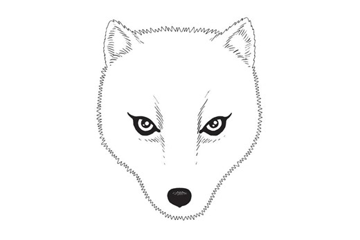 Fracturing to Survive: Tanya Tagaq's 'Split Tooth' » PopMatters