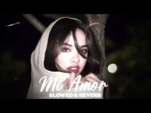 Mi Amor (Slowed And Reverb)
