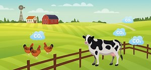 How can we reduce our environmental footprint one food at a time? - Science Journal for Kids and Teens