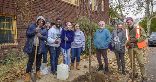 Tree Tenders Program