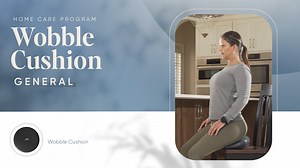 Home care_Wobble Cushion General