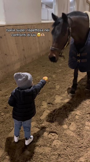 ANNA BERNARDI su TikTok