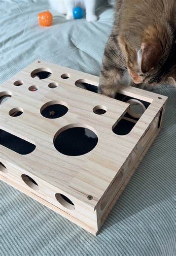 Ultimate Nail Filing Solution for Cats