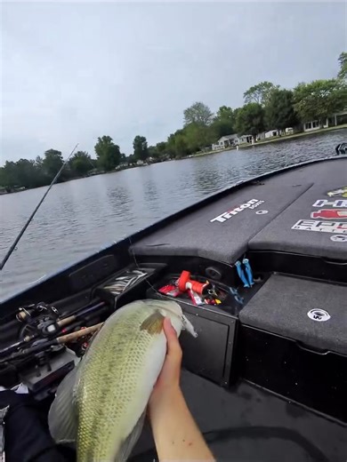4.4K views · 60 reactions | Cast to catch from @drew.gill.fishing on this 6lb glide bait fish. | Triton Boats | Facebook