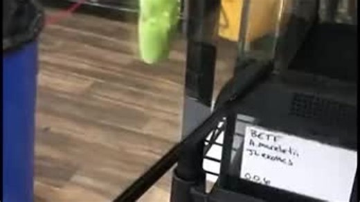 b7aa672d8e8bb17d52c9fdadfdc68260_483830_1767161175