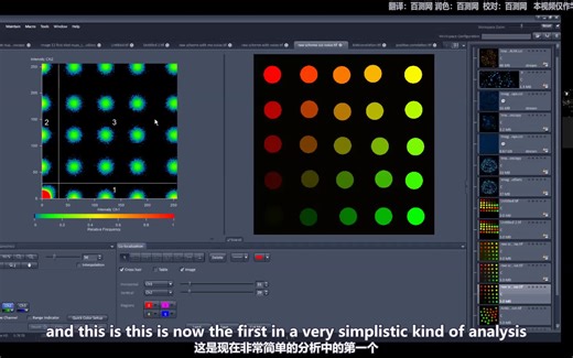 激光共聚焦显微镜 CLSM 从入门到专家！显微镜操作流程 共定位分析 Zen软件使用 三十二