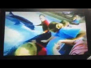 PTV Park Program Break (1997 WNED) Incomplete