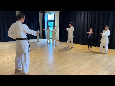 Karate Classes for Children and Adults