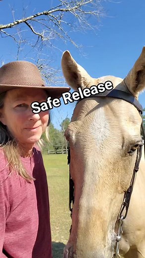 #release #safe #horses #itsahorsething