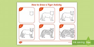 How to draw a Tiger Activity