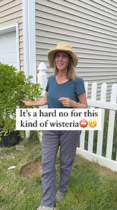 142K views · 1.1K reactions | invasives or vines I get comments about...