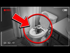 67 Elf On The Shelf Caught MOVING And POOPING 😱