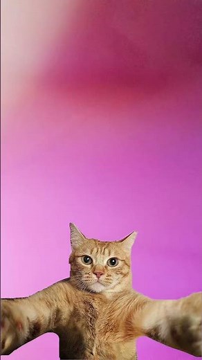 jdhd #memes #minecraft #funny #humor