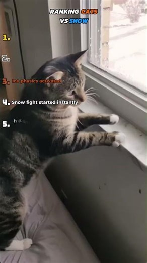 Cats vs Snow ❄️🐱 (Winter Was a Mistake) #cat #catvideos #funny