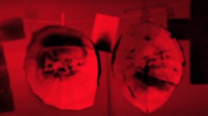 Photographer Uses 3D Objects as Film