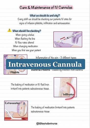 Nursing #nursing #nursingstudent #studentnurse #nursingnotes #ipadnotes #goodnotes