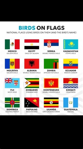 Birds on National Flags 🦅🌍 | Can You Name Them?