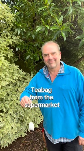 Simon Akeroyd on Instagram: "Instead of throwing away your tea bags, you can make them into floral bookmarks. You can use traditional tea bags or herbal tea bags. However you need the type of teabags that are folded (usually have string attached) as you need to be able to unfold them. Once unfolded just gently pull down the seam to open them. The round or pyramid teabags won’t work as they can’t be unfolded. Once you’ve opened the tea bag, rinse and dry and then cover surface with a mix of glue 