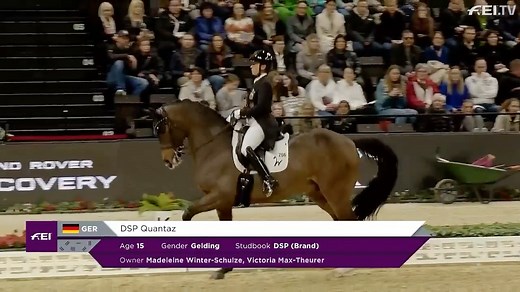 Isabell ignites Basel with brilliance! 🇩🇪🔥 Germany's queen of dressage, Isabell Werth and her graceful gelding DSP Quantaz delivered a picture-perfect performance to claim victory in leg seven of the FEI Dressage World Cup™ Western European League at Longines CHI Classics Basel with 85.735%! 🥇 Prepare to be captivated by the perfect blend of power, precision, and grace. 👏 #FEIDressageWorldCup #FEIDressage #PursuitOfPerfection Deutsche Reiterliche Vereinigung e.V. (FN) | Fédération Equestre
