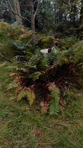 A bit of Manesty mayhem | Max Out in the Lake District