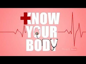 Body Parts Title - Human Body Parts - Pre School - Animated Videos For Kids