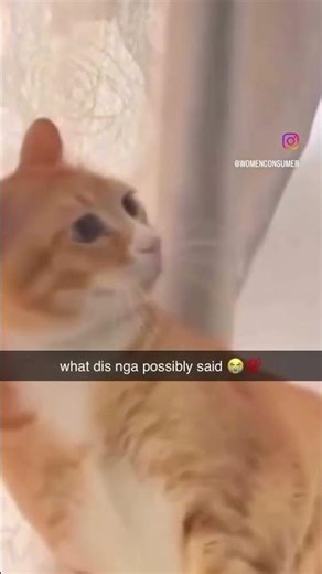 “Give me your paw & Dont say nah!” 🤣