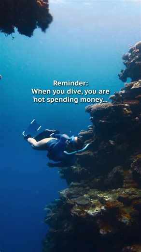 Moments that will last a lifetime, filled with breathtaking views and new experiences! 🤿💙 Tag someone you'd love to share these incredible memories with! 👇 #PADI #Underwater #Diving #Ocean #Dive | PADI