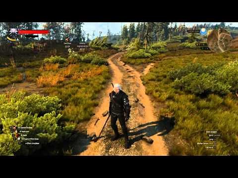 Witcher 3 Drinking/Eating animations mod