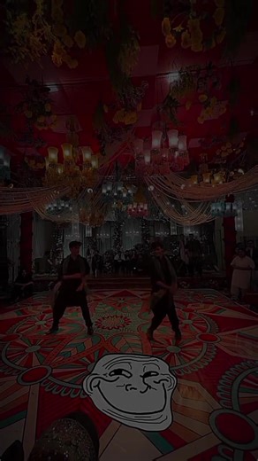 MSF ON TOP: The Rise of Shkari Sangat