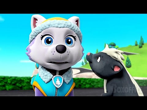 Everest becomes friend with a SKUNK | PAW Patrol Series | CLIP