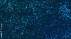 Rain falls in the sea 4k motion graphics water. Blue water in the ocean with rain. Top view of heavy rain. Motion design sea and rain