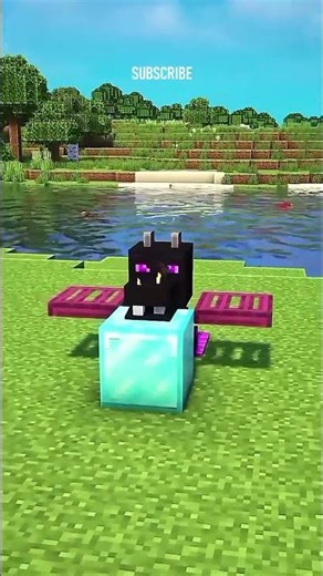 Minecraft 2 + Build Hacks Tutorial #minecraft